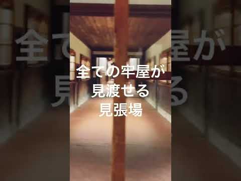 網走監獄が思ってたより長い時間楽しめた件