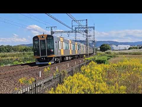 秋の平城京跡に行く！穴場な観光地