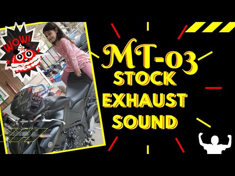 Yamaha MT-03 STOCK EXHAUST | REV LIMITER (PURE SOUND)