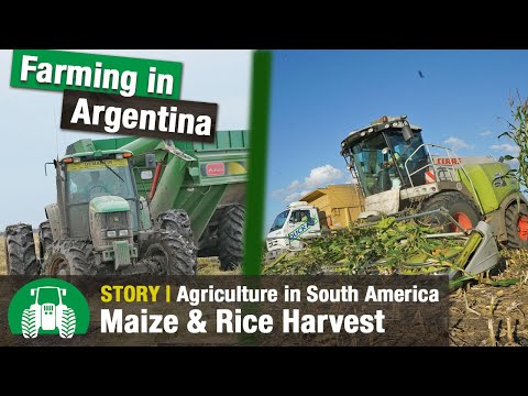 Maize & Rice Harvesting in Argentina | Agriculture in South America Documentary | www.farmworld.tv