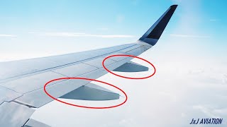 飛行機に設置されているこれらの構造は何ですか?なぜ設置されているのですか?