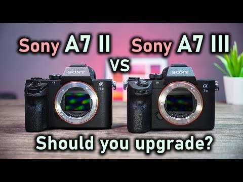 Sony A7 III vs Sony A7 II - Should you upgrade?