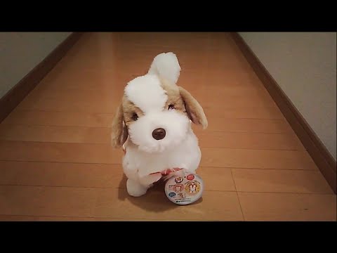 てつ、、、お前は犬じゃなかったのか！?