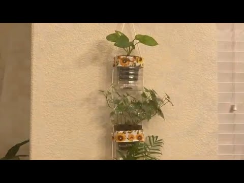 Turn juice bottles into house/wall planters 😁♻️