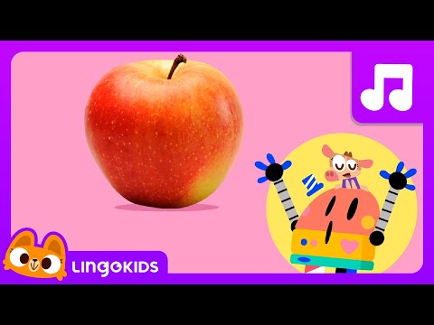 WHERE DO APPLES COME FROM? 🍏🍎  Educational Video for Kids | Lingokids