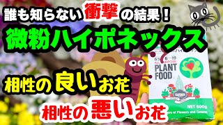 ◆【こんなこと知らなかった…】誰も知らない微粉ハイポネックス！