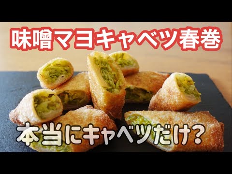 キャベツだけなのに驚きの旨さ｜味噌マヨキャベツ春巻き｜発酵調味料で旨みアップ！