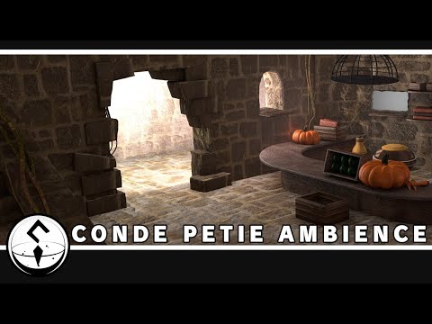 2 Hours of Conde Petie Extended Mix & Ambience - 3D Recreation