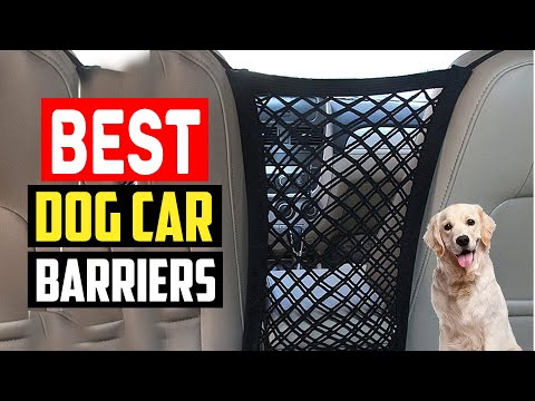 Top 5 Best Dog Car Barriers in 2023