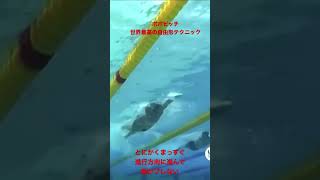 【世界最高の自由形】ポポビッチの水中映像