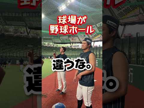 【皆さんわかりますか？】野球ボール3個を探せ！ベルーナドームの看板に隠れた謎とは？