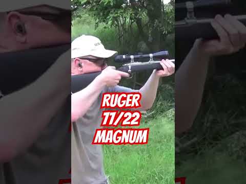 Ruger 77 22 Mag #ozziereviews #ruger #22mag #22lr #22wmr #22magnum #firearms #rifle #gun #22caliber