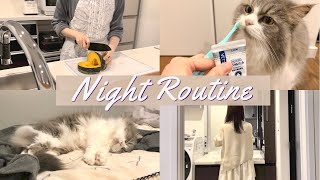 【Night Routine】猫と夫婦２人暮らしのナイトルーティン