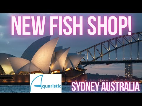 Crazy New Fish Store in Sydney Australia