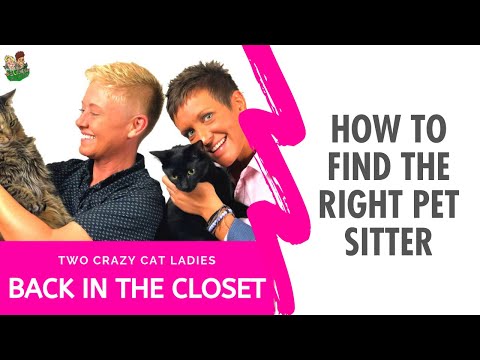 How To Find The Right Cat Sitter | Two Crazy Cat Ladies