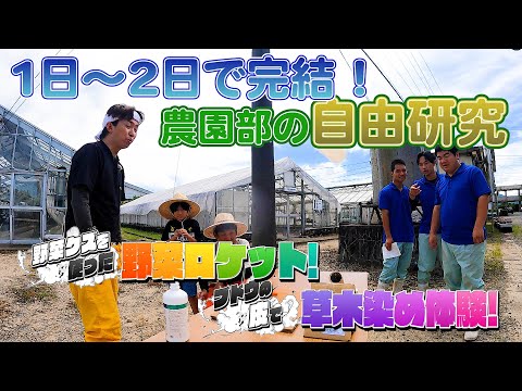 【農園部21】2日間でできる自由研究。野菜ロケットと草木染め!