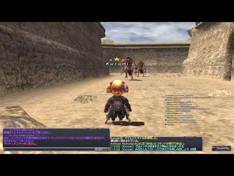 【FF11】惑う剣士になれたような気がするが寄り道ばかりなり【いろいろ】