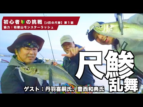 🔰の挑戦。尺鯵乱舞！「3匹の尺アジ:第一話」　#和歌山インショアアジング　Vlog  Take her AJING Fishing