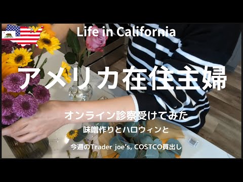 【アメリカ在住主婦】オンライン診察受けてみた｜味噌作り｜ハロウィン当日｜今週のTrader Joe's,COSTCO買出し