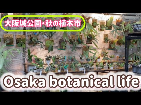 🍃Osaka botanical life🍃大阪城公園・秋の植木市に行ってきました💕