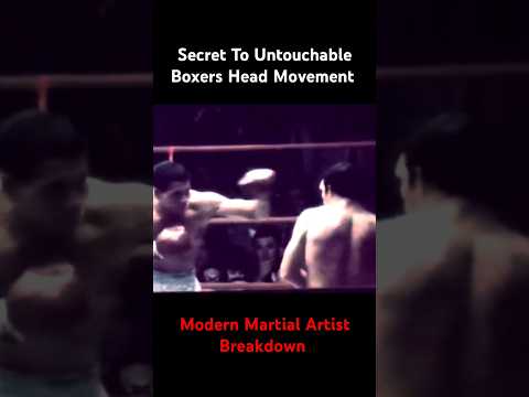 Untouchable Boxer's Flawless Defense Explained #boxing #martialarts