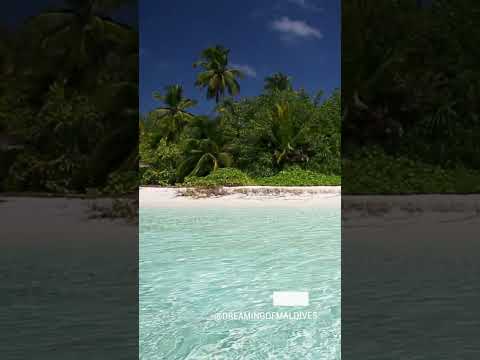 Maldives Islands #shorts