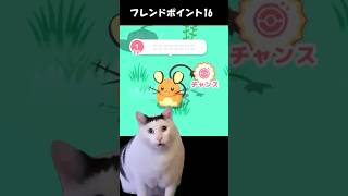 【ポケスリ】デデンネ捕獲計画 #ポケモンスリープ #猫ミーム #shorts