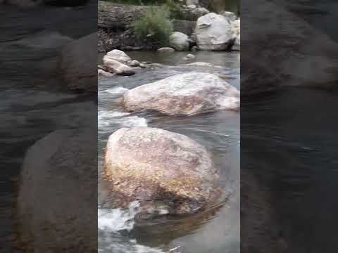 baba baijnath dham himachal aviral dhara