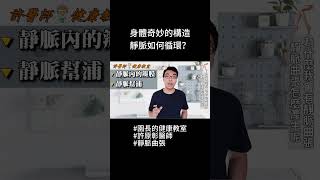 身體奇妙的構造，靜脈如何循環｜許原彰醫師：高雄，台南，屏東，台中靜脈曲張專科 #健康 #靜脈曲張 #保健 #醫療