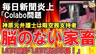 ＜ゆっくり）悲報 毎日新聞大炎上「 colabo問題一部アカウント（ 神原元弁護士）は暇空茜支持者を『脳みそのない家畜の群れ』と投稿」！！…………LGBT団体「LGBT法は不要！」＜ゆっくり反応 ＞