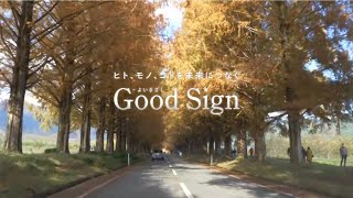 Good Sign #56 四季折々に華やぐ絶景スポット 高島市マキノ「メタセコイア並木」