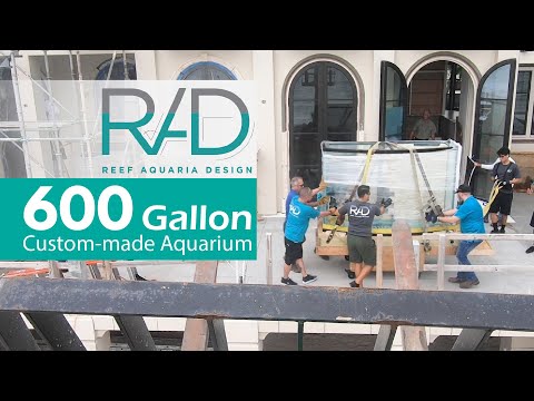 RAD - REEF AQUARIA DESIGN - 600 GALLON BOWFRONT -  DELIVERY DAY - NAPLES, FLORIDA