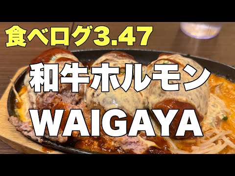 【食べログ3.47】ハンバーグ3個まで1,100円！新宿「和牛ホルモンWAIGAYA」