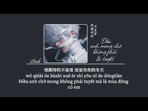 [Vietsub] Điều anh mong chờ không phải là tuyết • Thích A Hào (Bản Nam)♪ 我期待的不是雪 而是有你的冬天 • 戚阿豪