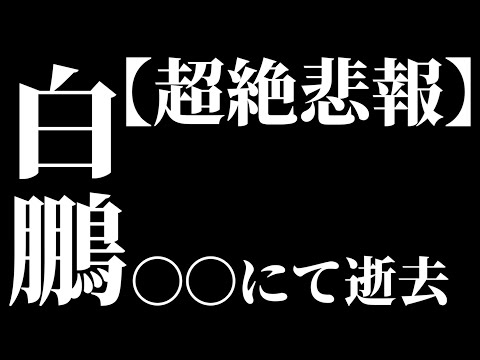 【訃報】白鵬、〇〇にて逝去