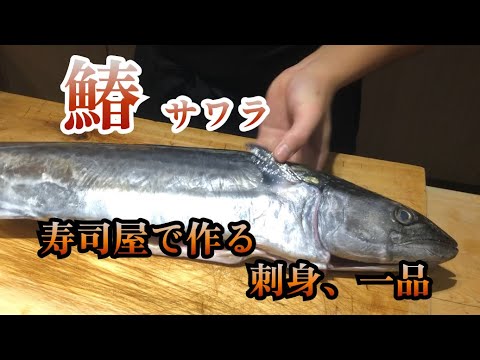 【寿司屋の一品】冬を越す為脂肪をいっぱい蓄えたサワラ　別格の旨さに舌鼓　手間暇かけて作る寿司屋の刺身と一品料理