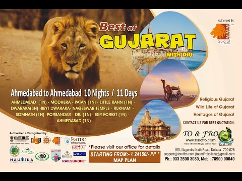 GUJARAT RANN UTSAV #gujarat #rannutsav