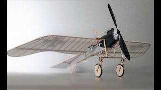 The Tony Ray Dove / Taube - Short Flying Video - Model from SWM