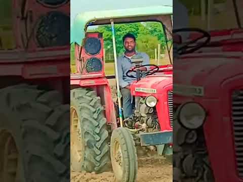 #video #viral #shoat #kisan #shorts #mashi @cg36