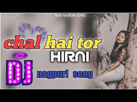 Chal Hai Tor Hirni Nagpuri Dj Song 2023 || Nagpuri Dj Remix Song ||dj shivam // dj PIYUSH PTRAPALI