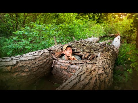 THE MOST SECRET SHELTER between two trees. Bushcraft, Survival, Overnight in the forest Wild camping