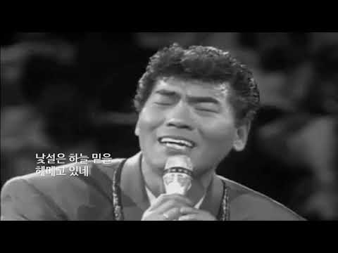 나훈아 - 철새