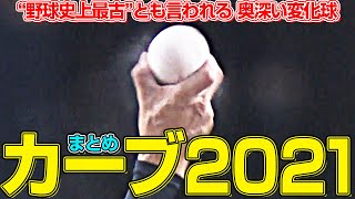 【変化球の話①】シンプルだからこそ奥深い『カーブまとめ2021』