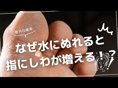 水にぬれると指のしわが増える現象の真相