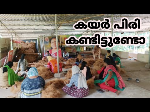 #Coir making video #കയർ പിരിക്കുന്നത് എങ്ങനെ #Kerala's traditional job