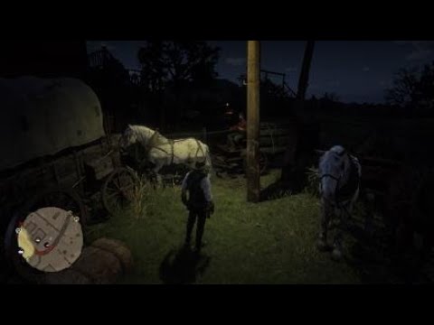 Red Dead Redemption 2_bugs ahoy