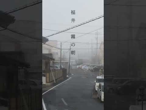 福井市志比口で濃霧 霧の奥からモンスターでてくる映画あったのわかる？最後バットエンドで賛否を呼んだ伝説の映画 こんなに濃い霧は福井市の中心部では年に…2,3回しか見れない