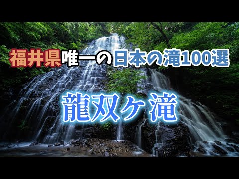 福井県唯一の日本の滝１００選　「龍双ケ滝」