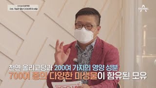 체중 감량에 도움이 되는 식사법 '거꾸로 식사법' | 100세 프로젝트 26 회