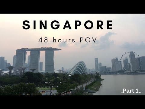 48 Hours in Singapore: Street Food, Changi Airport & some local exploring